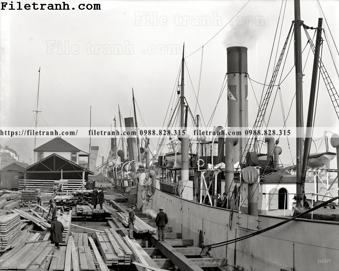 https://filetranh.com/tuong-nen/along-the-docks-1906.html